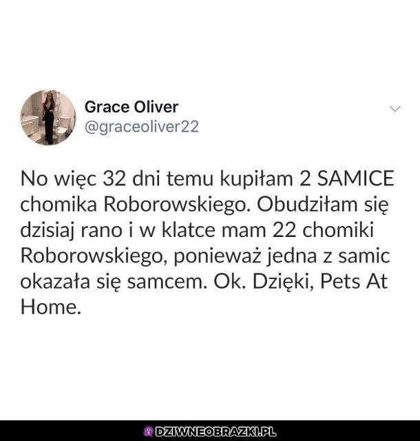 No cóż