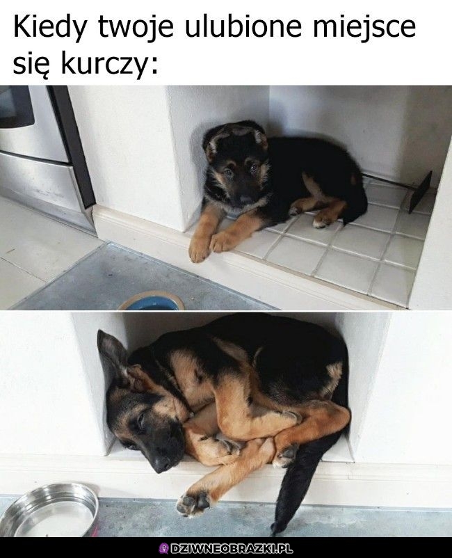 Ale dalej się mieści