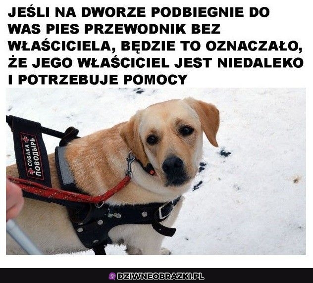 Pamiętajcie