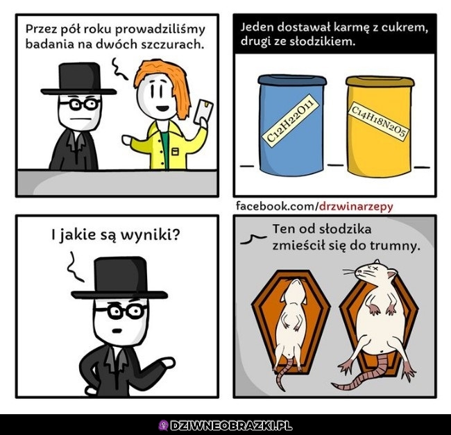 Wyniki badań