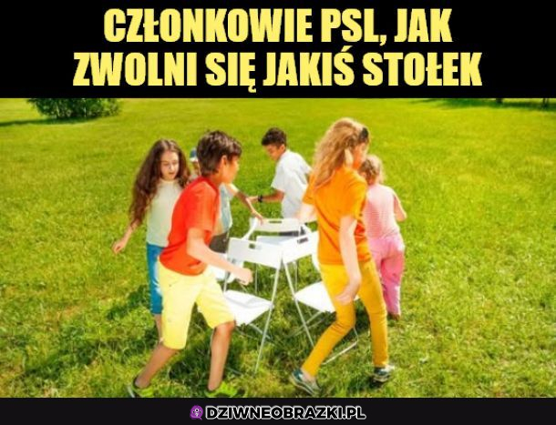 Tymczasem w PSL