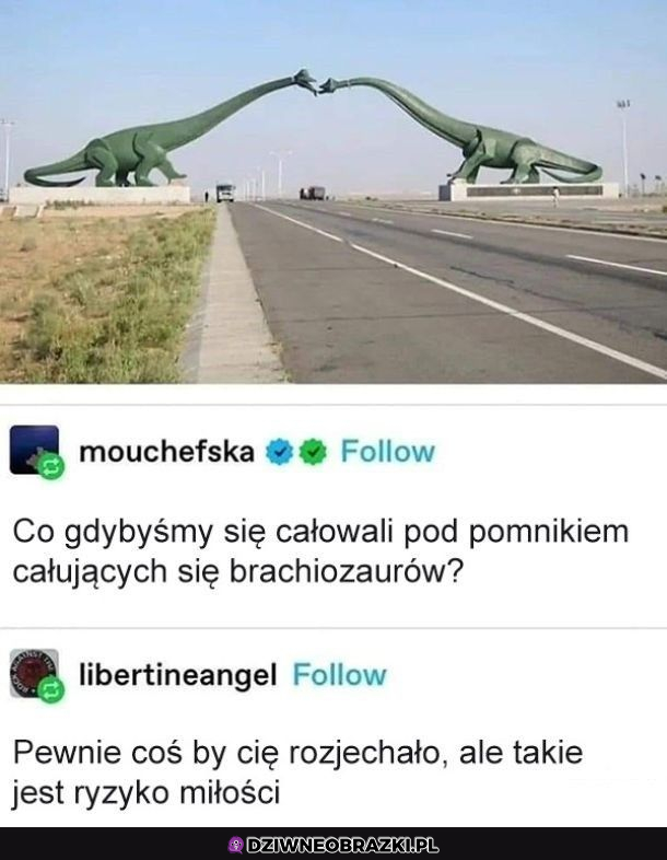 ryzyko miłości takie jest