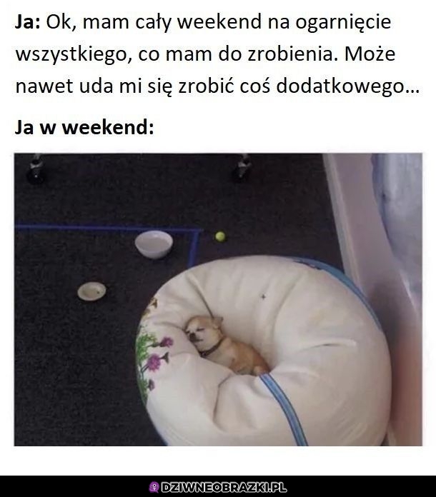 Weekendy