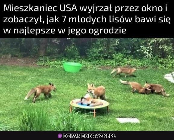 Fajny widok