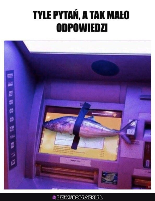 Hasło okoń