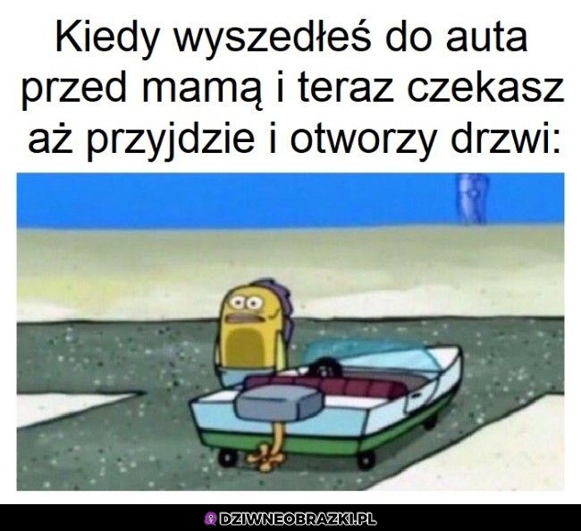 Ten moment