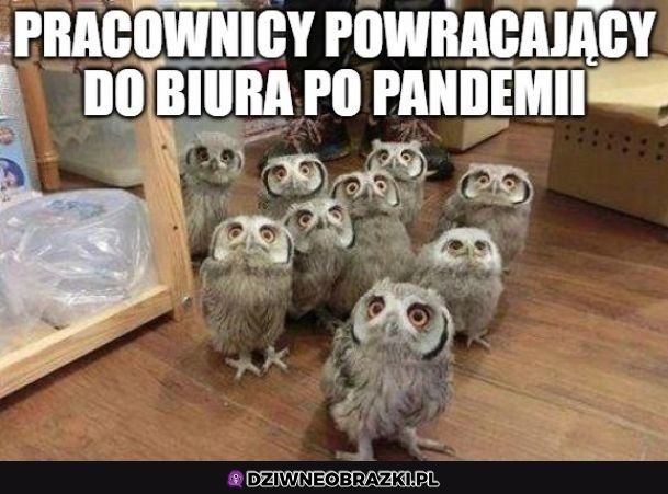 Tak będzie