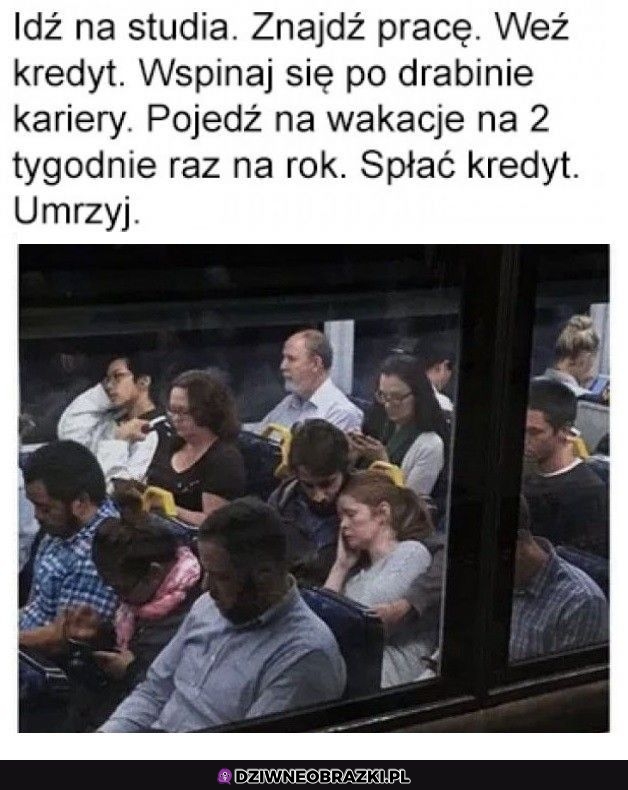 Pełnia życia