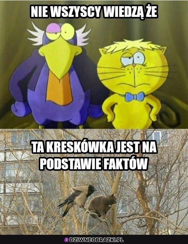 Oparta na faktach