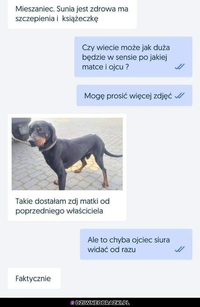 Coś tu nie gra