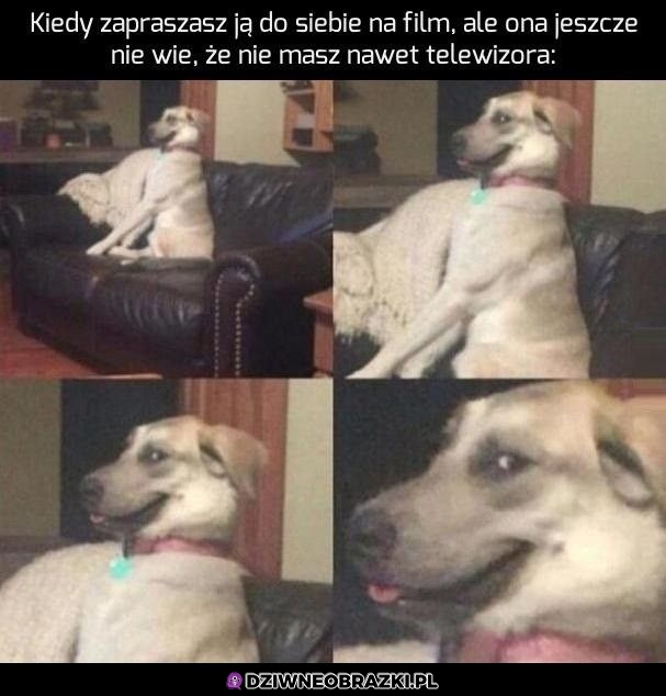 To zdziwienie