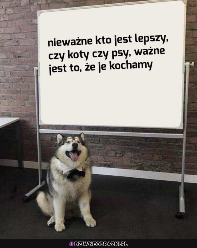 Dokładnie