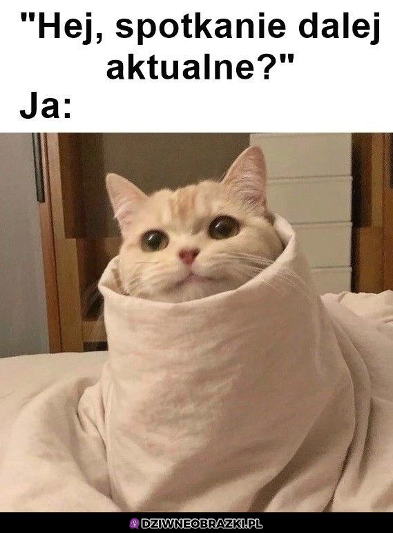 Jakie spotkanie