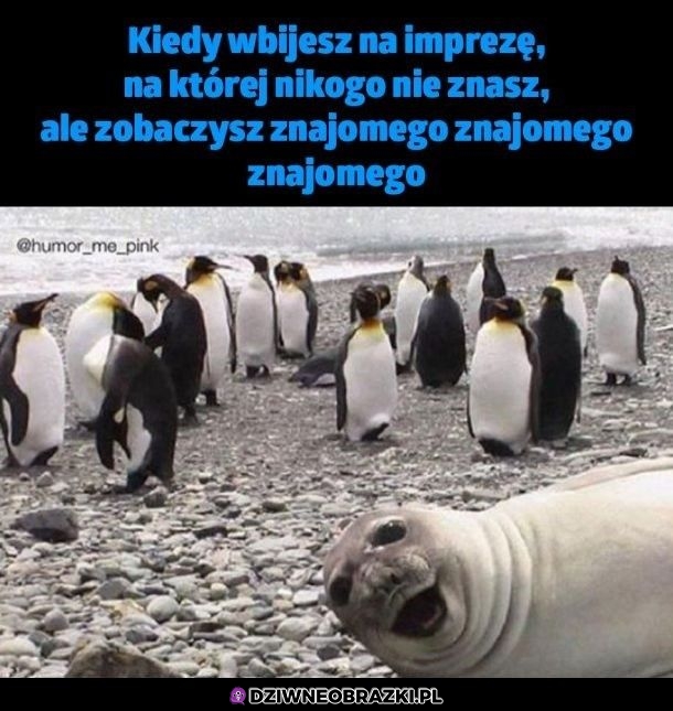 O sieeeema