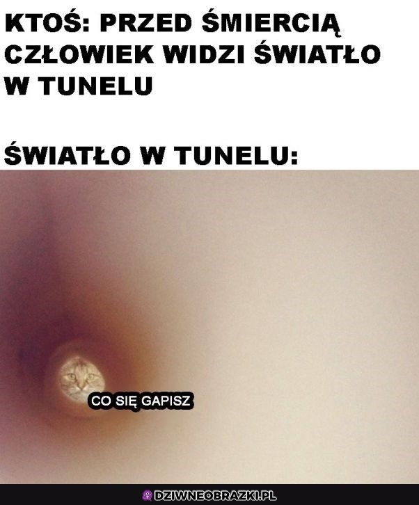 Światełko w tunelu
