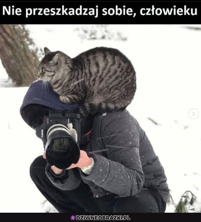 Tylko sobie siądne
