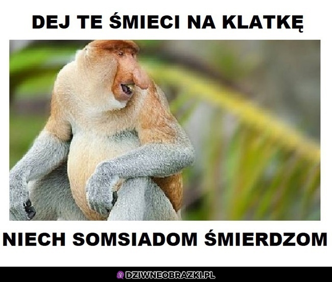 Janusz