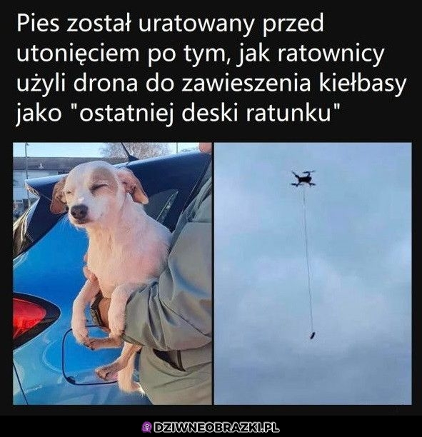 Dał się złowić