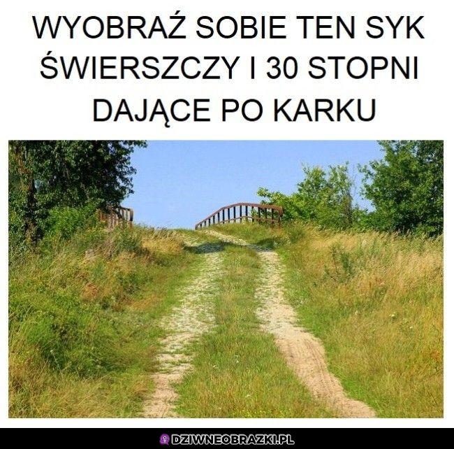 W sumie to chciałbym