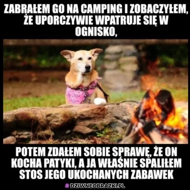 Zdał sobie sprawę