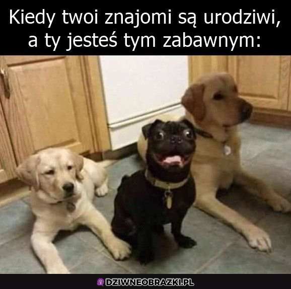 Kiedy stałeś w kolejce po coś innego niż reszta