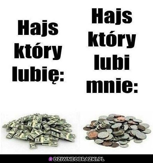 Hajs