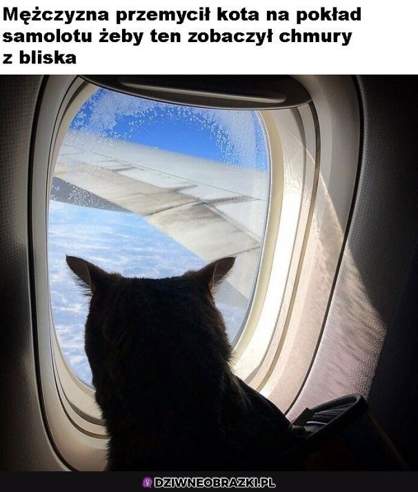 I fajnie