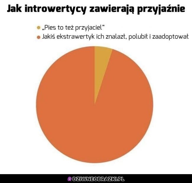 Przyjaźnie introwertyków