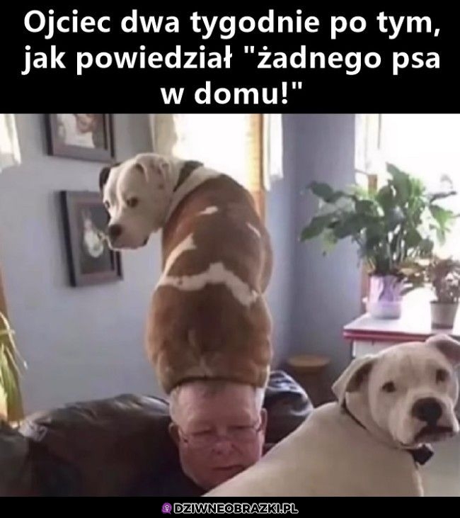 Tak pewnie było