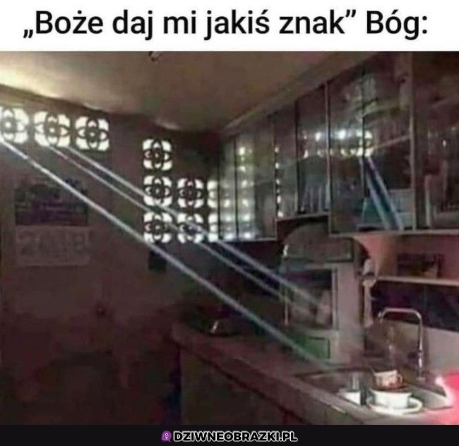 Masz i weź się do roboty