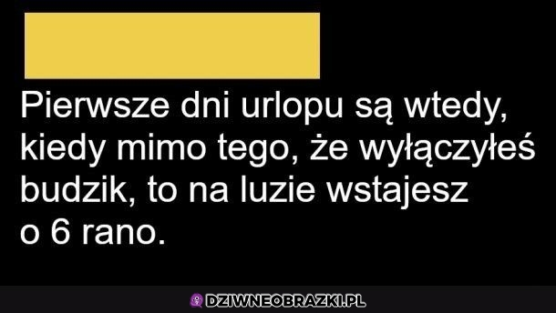 Nie zdążysz się przestawić i już koniec