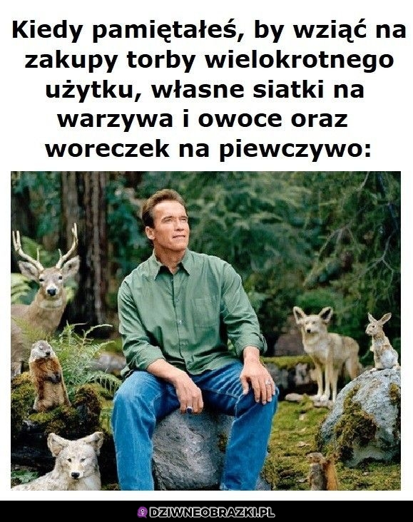 Ten moment