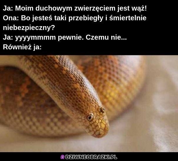 Duchowe zwierzę