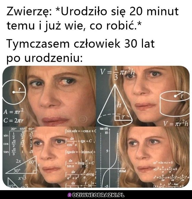 Jak to wszystko działa?