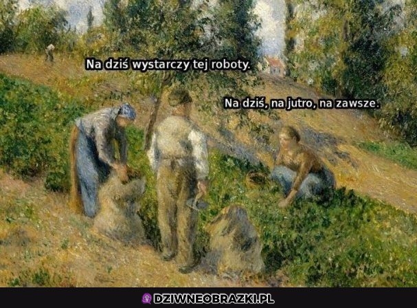 Wystarczy
