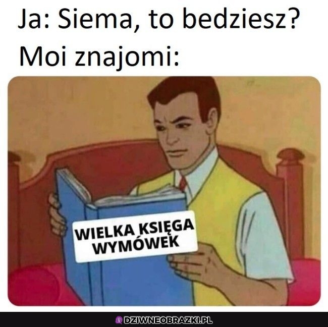 Niech no spojrzę