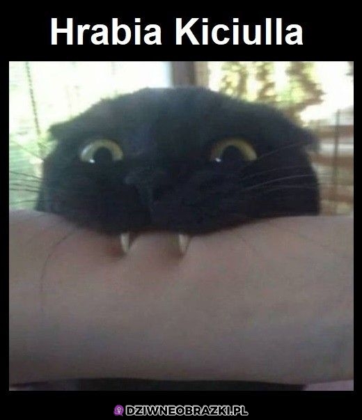 Kiciulla