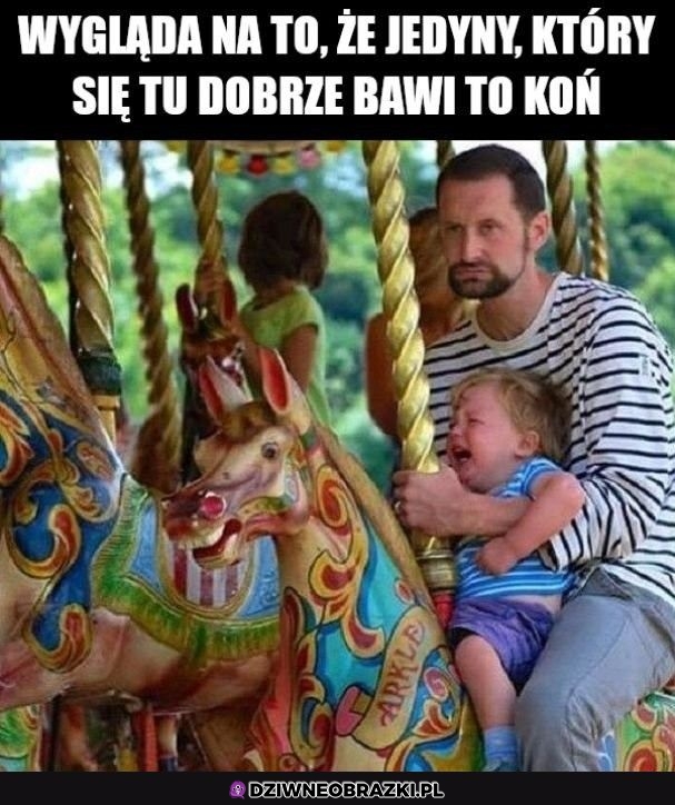 Jedyny ma frajdę