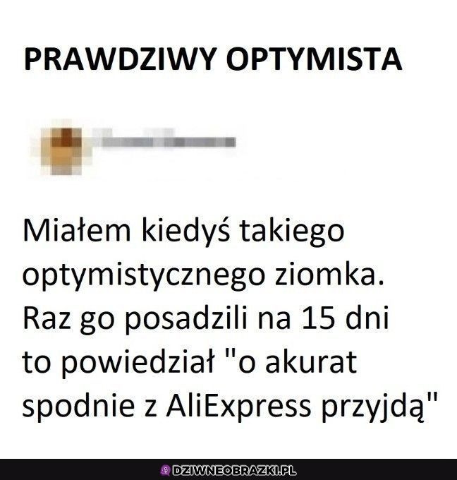 Optymizm