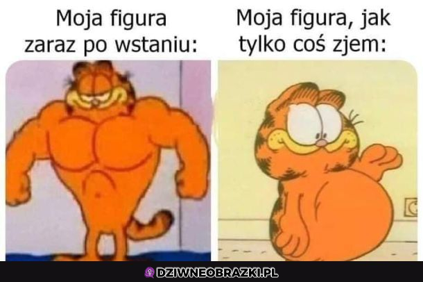 Moja figura
