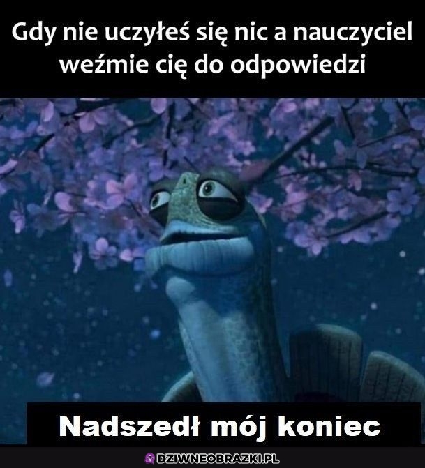 Ten moment
