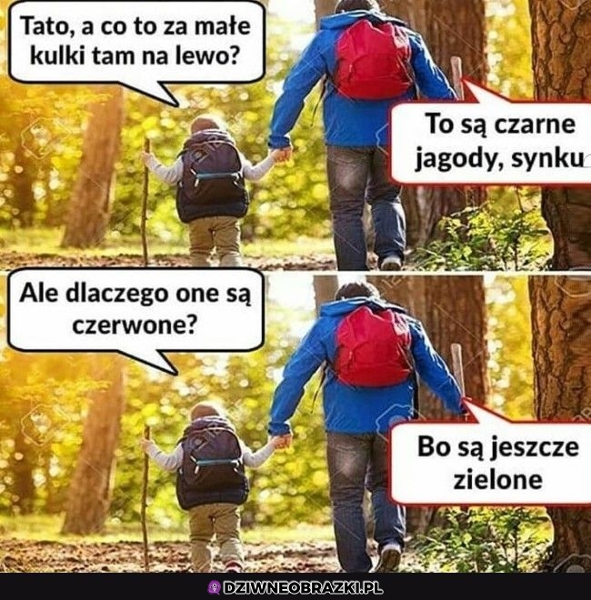 Wszystko jasne