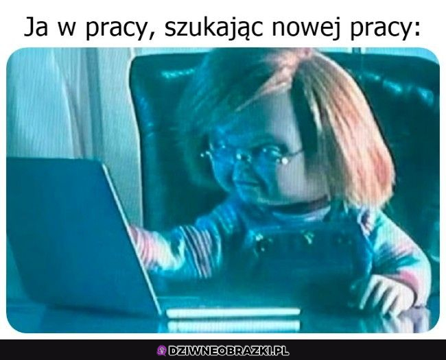 Kiedy w robocie szukasz roboty