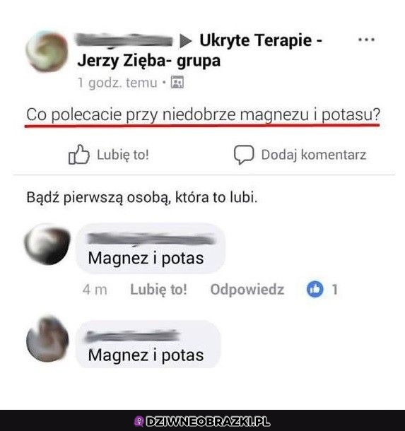 Polecamy