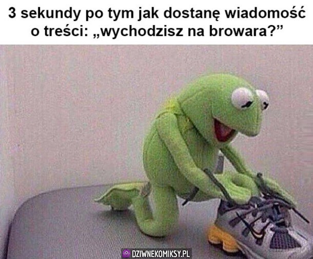 Już lecę!