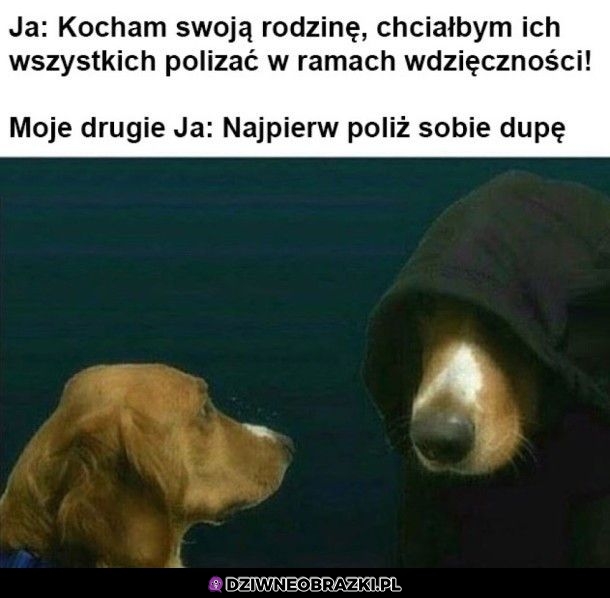 Psie mroczne ja