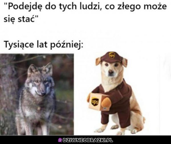 Jednak nie można im ufać...