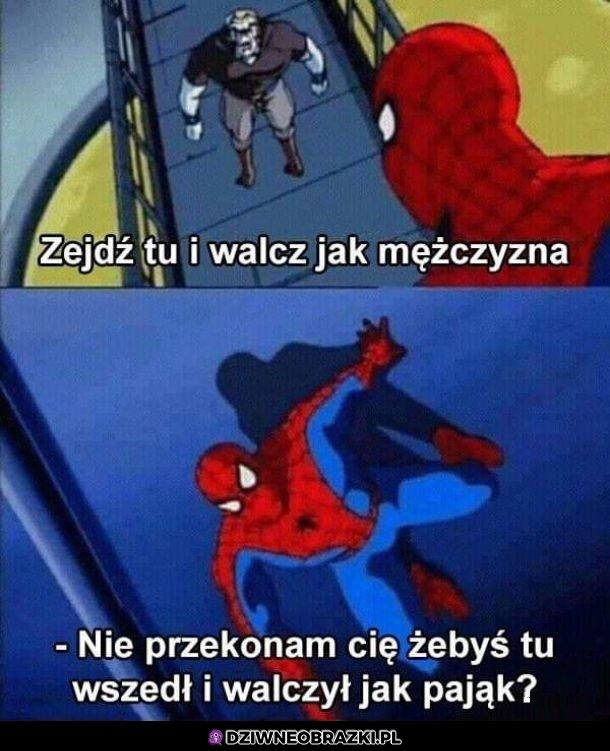 Może jednak?