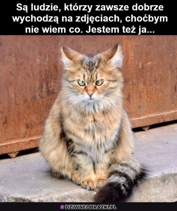 Witam