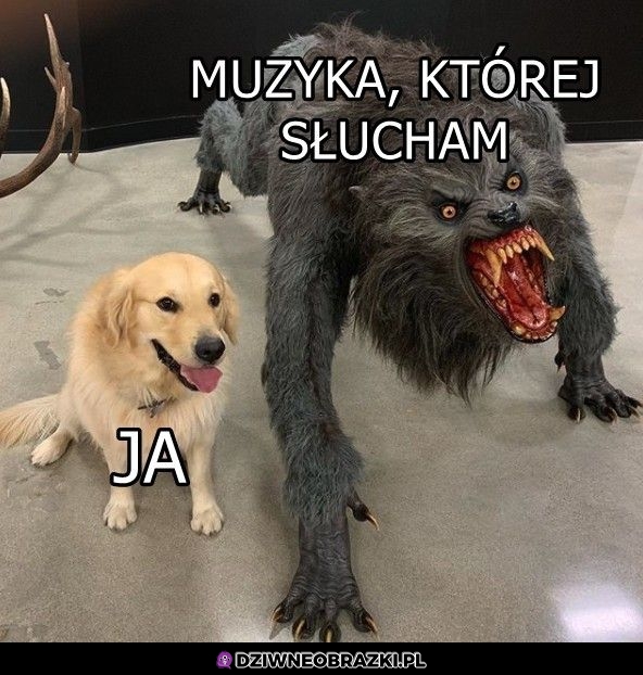 To ja